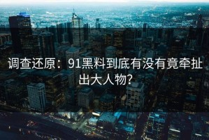 调查还原：91黑料到底有没有竟牵扯出大人物？