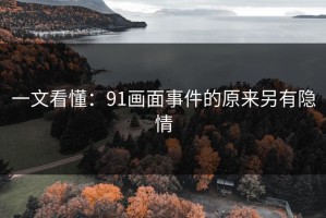 一文看懂：91画面事件的原来另有隐情