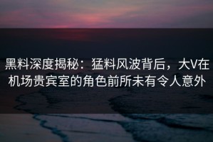 黑料深度揭秘：猛料风波背后，大V在机场贵宾室的角色前所未有令人意外