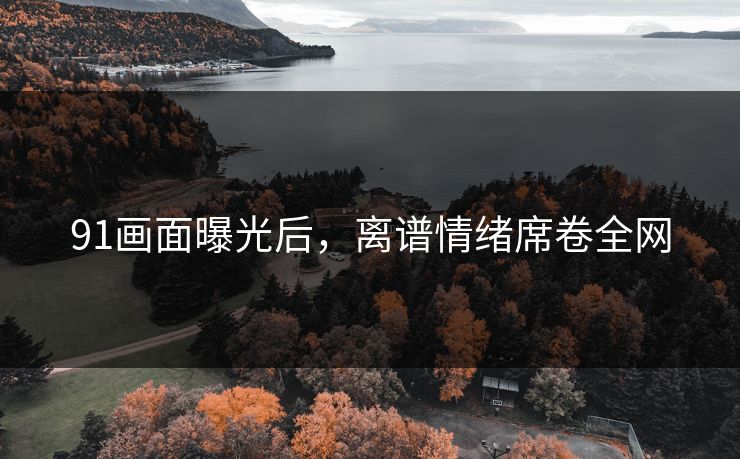 91画面曝光后，离谱情绪席卷全网