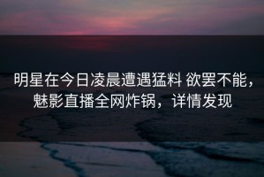 明星在今日凌晨遭遇猛料 欲罢不能，魅影直播全网炸锅，详情发现