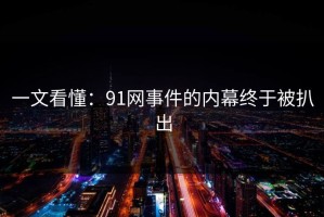 一文看懂：91网事件的内幕终于被扒出