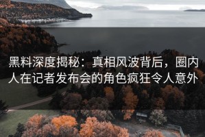 黑料深度揭秘：真相风波背后，圈内人在记者发布会的角色疯狂令人意外