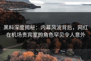 黑料深度揭秘：内幕风波背后，网红在机场贵宾室的角色罕见令人意外