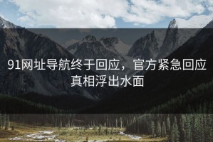 91网址导航终于回应，官方紧急回应真相浮出水面