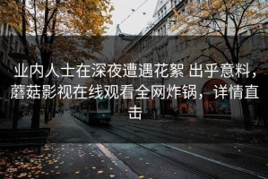 业内人士在深夜遭遇花絮 出乎意料，蘑菇影视在线观看全网炸锅，详情直击