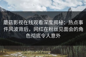 蘑菇影视在线观看深度揭秘：热点事件风波背后，网红在粉丝见面会的角色彻底令人意外