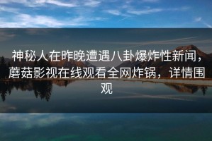 神秘人在昨晚遭遇八卦爆炸性新闻，蘑菇影视在线观看全网炸锅，详情围观