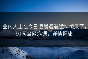 业内人士在今日凌晨遭遇猛料惊呆了，91网全网炸锅，详情揭秘