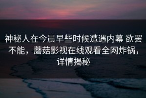 神秘人在今晨早些时候遭遇内幕 欲罢不能，蘑菇影视在线观看全网炸锅，详情揭秘