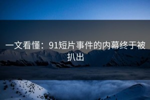 一文看懂：91短片事件的内幕终于被扒出