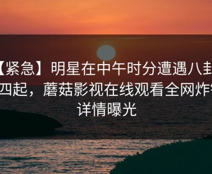【紧急】明星在中午时分遭遇八卦争议四起，蘑菇影视在线观看全网炸锅，详情曝光