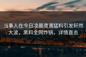 当事人在今日凌晨遭遇猛料引发轩然大波，黑料全网炸锅，详情直击