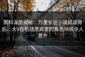 黑料深度揭秘：万里长征小说风波背后，大V在机场贵宾室的角色彻底令人意外