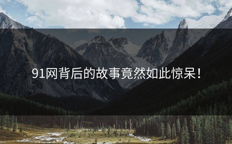 91网背后的故事竟然如此惊呆！