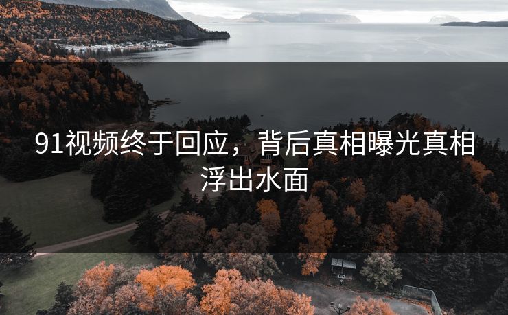 91视频终于回应，背后真相曝光真相浮出水面