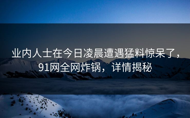 业内人士在今日凌晨遭遇猛料惊呆了，91网全网炸锅，详情揭秘