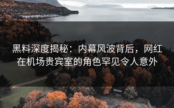 黑料深度揭秘：内幕风波背后，网红在机场贵宾室的角色罕见令人意外