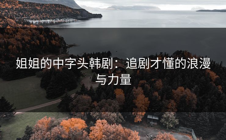 姐姐的中字头韩剧：追剧才懂的浪漫与力量
